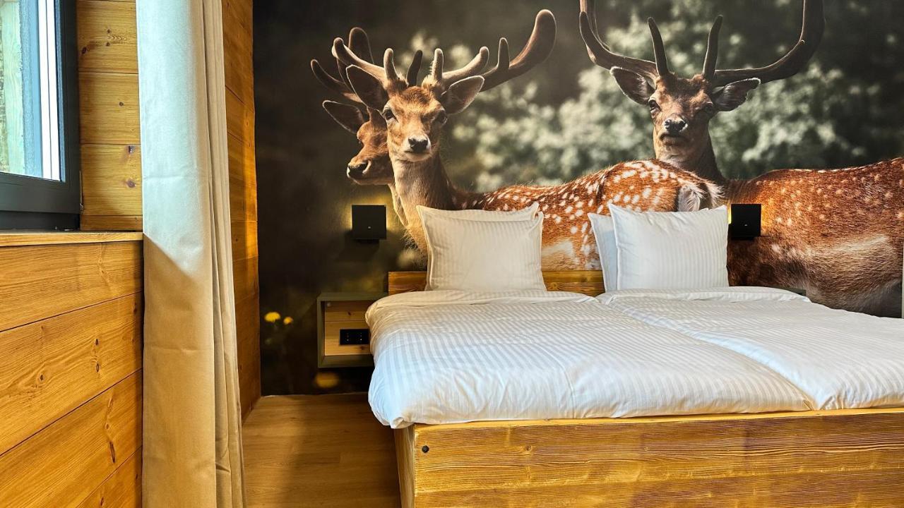 Alpen Lodge Рицлерн Екстериор снимка